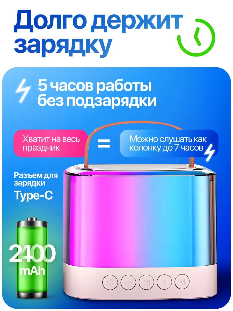 Технические особенности колонки KARAOKE PRO